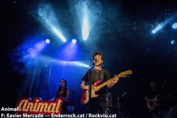 Concert d'Animal a la sala Apolo (Barcelona) 